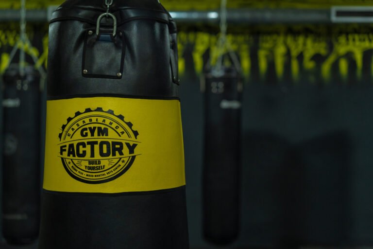 GymFactory : l’énergie du fight, la force de l’art